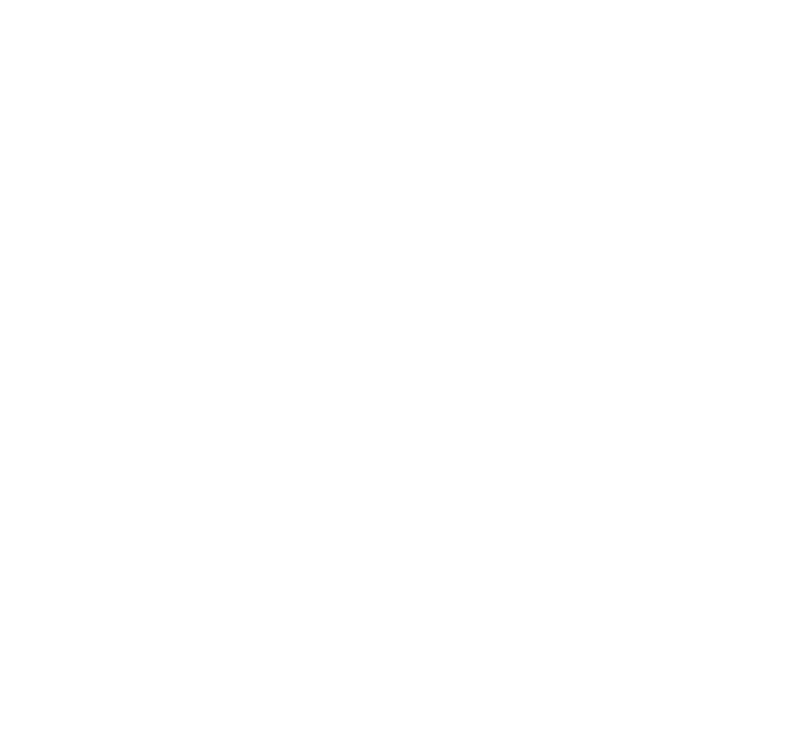 LOGOTIPO VIVIAN SANCHES white
